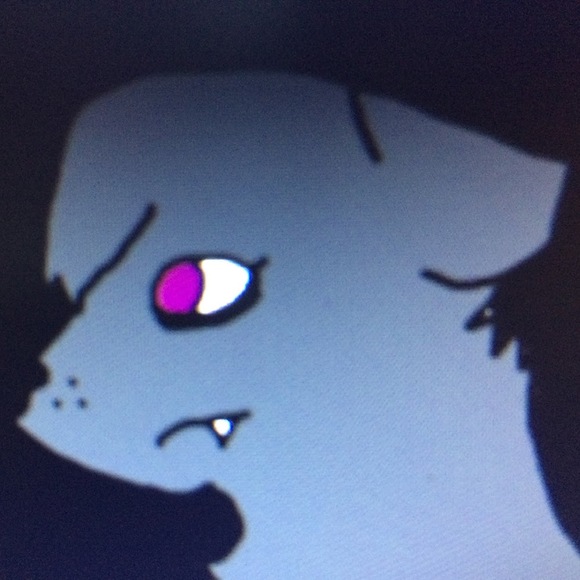 Meet your Posher, James - Picture 1 of 1